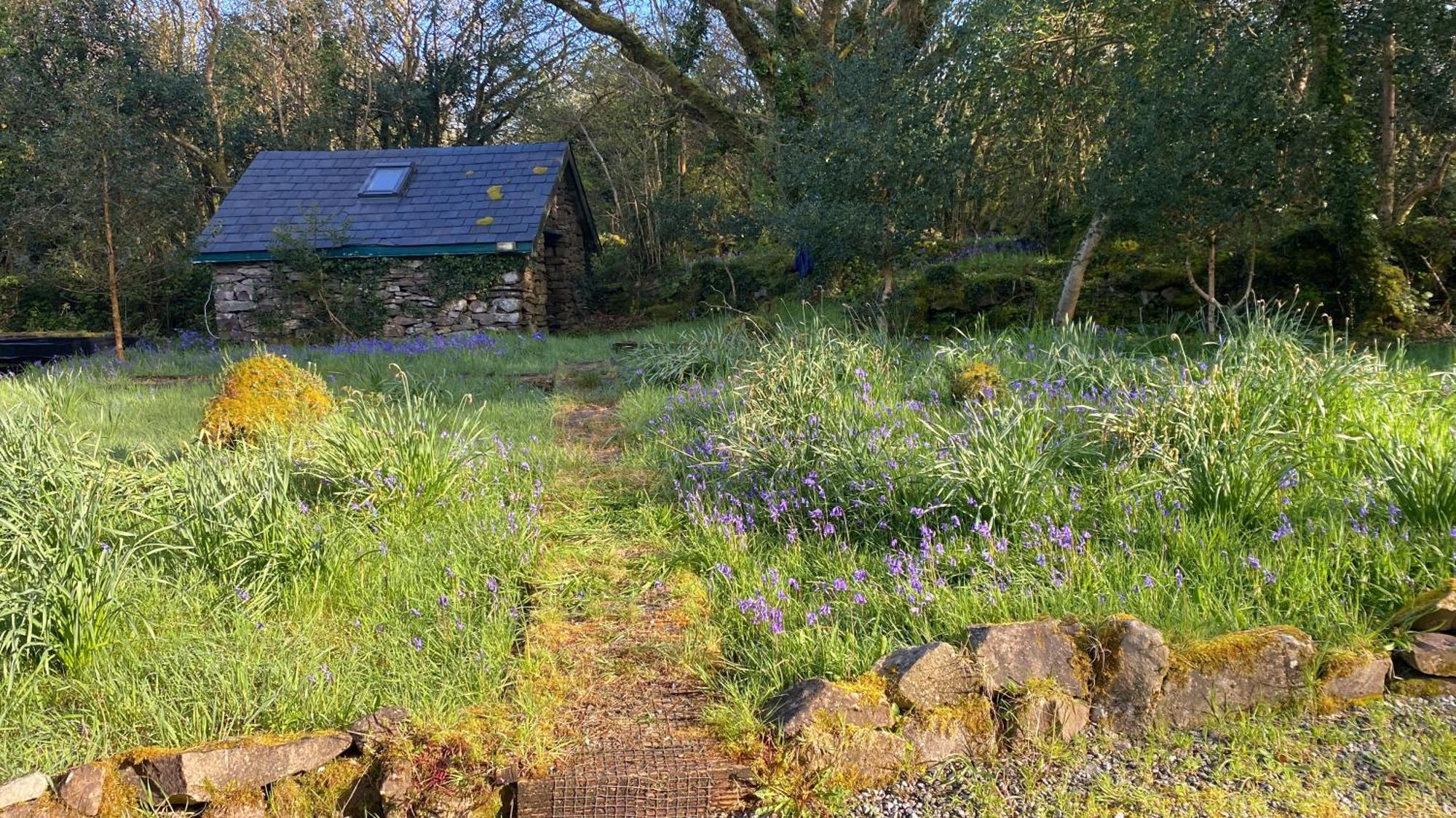 Sligo Forest Retreat 外观 照片