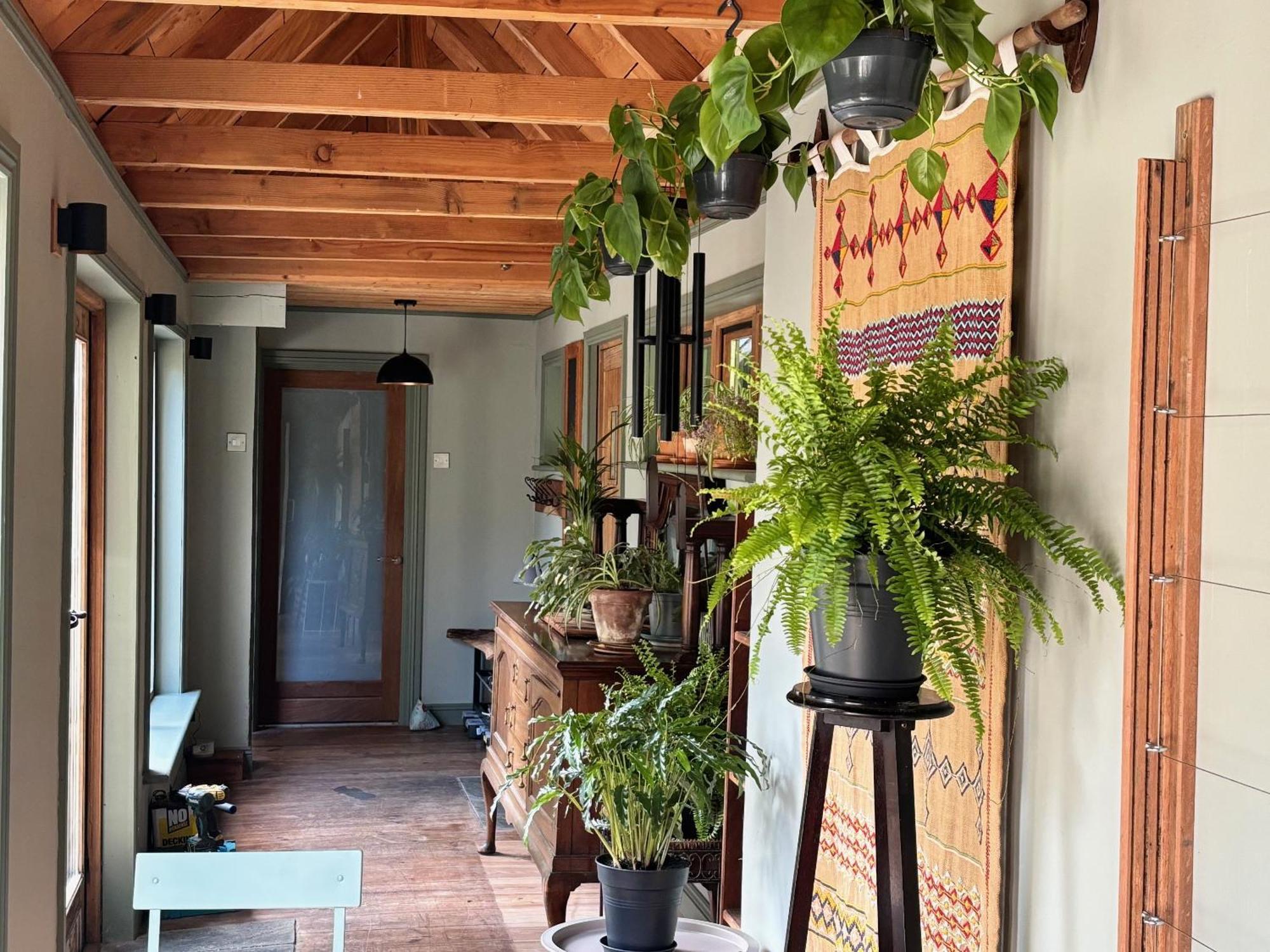 Sligo Forest Retreat 外观 照片