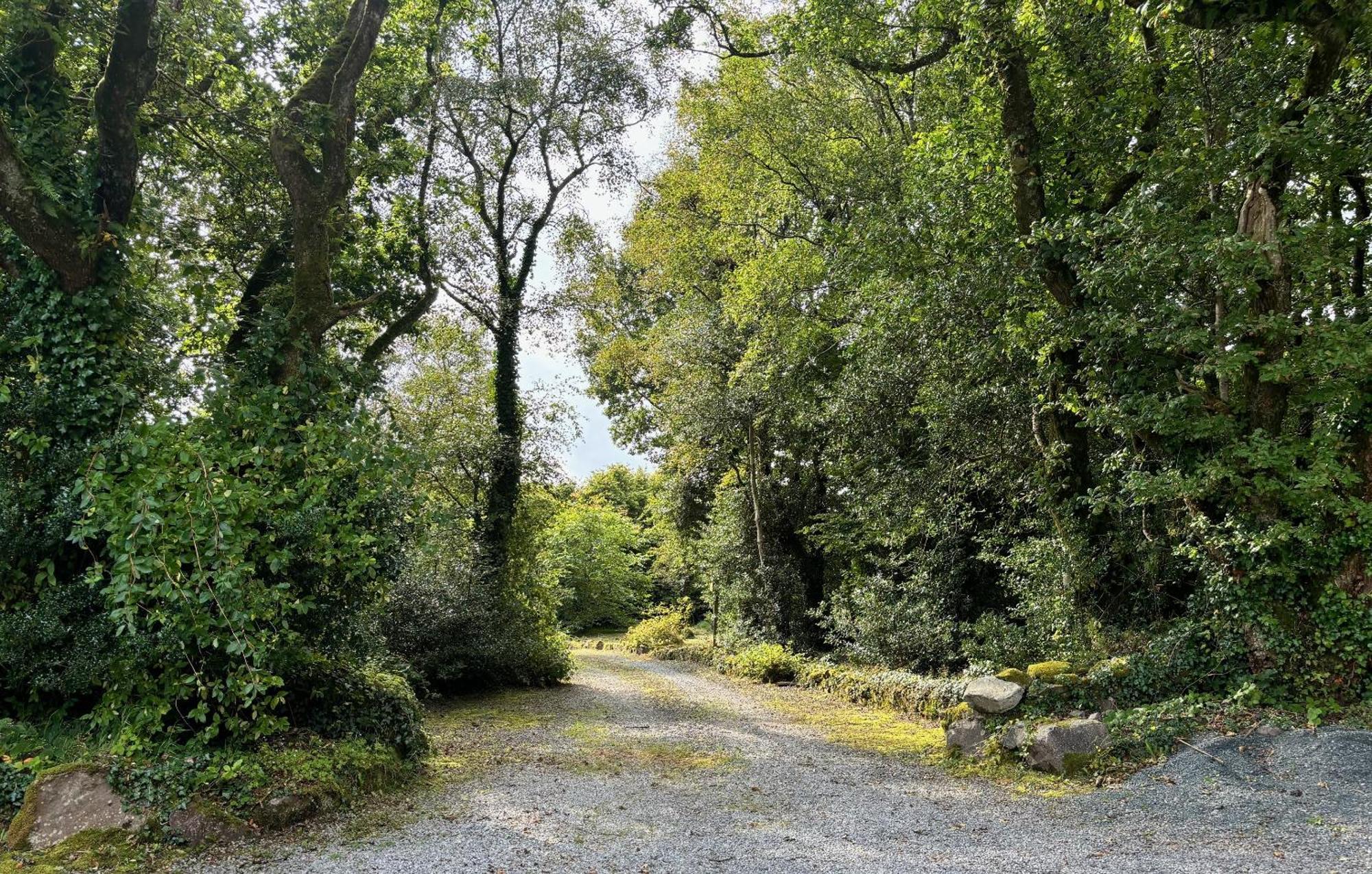 Sligo Forest Retreat 外观 照片