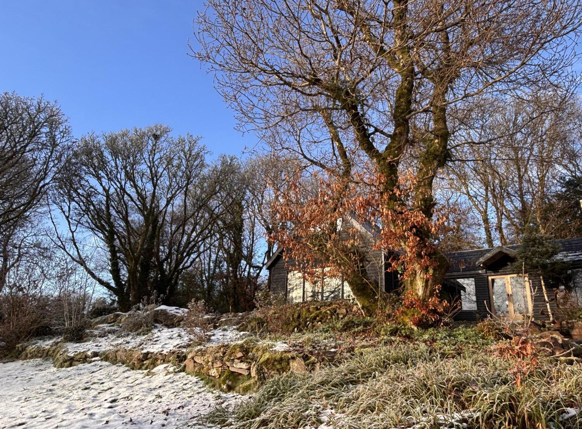 Sligo Forest Retreat 外观 照片